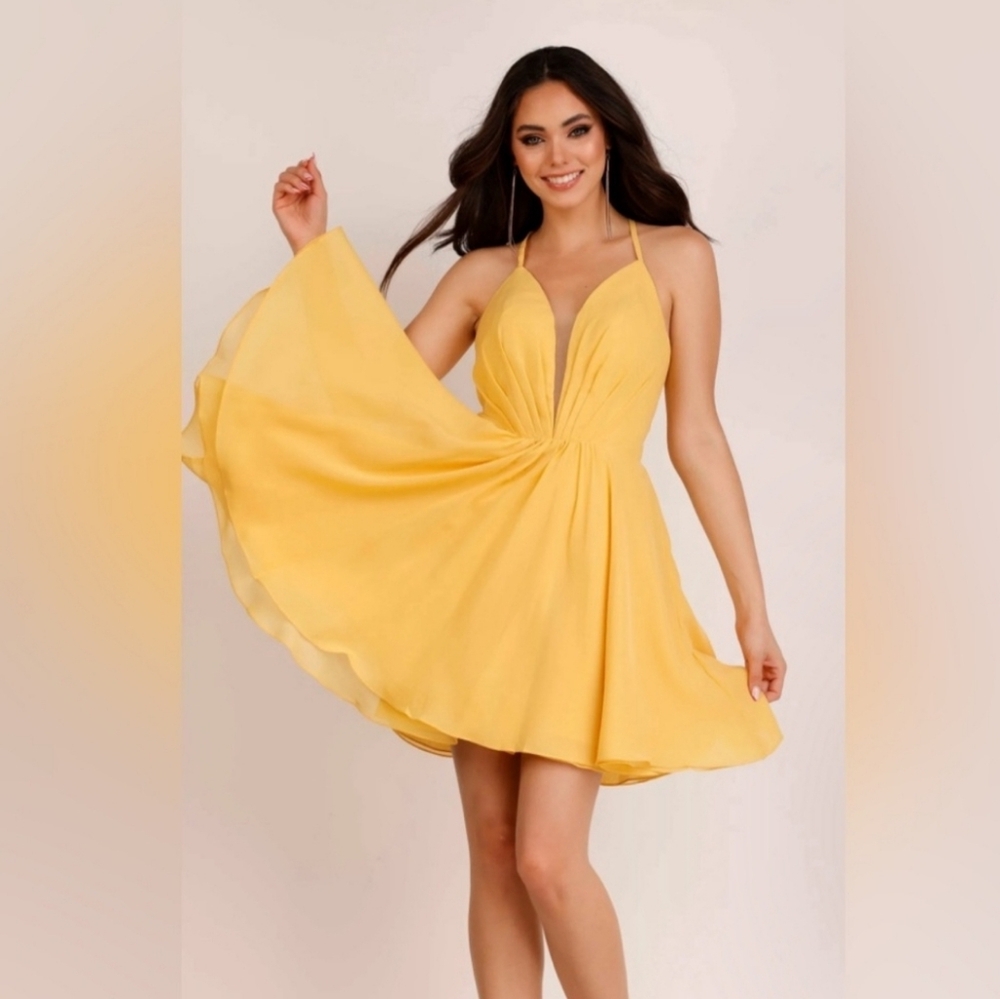 NWT abby paris ( 984911) size 10